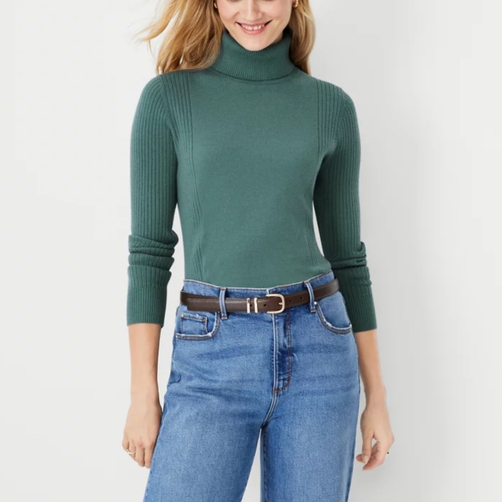 Ann Taylor Sweater